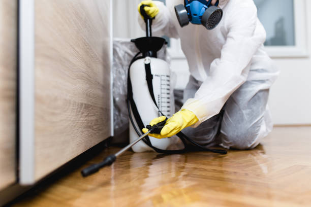Best Wasp Removal Services  in Lake Zurich, IL