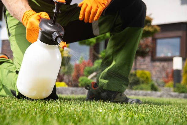 Best Wildlife Control Services  in Lake Zurich, IL