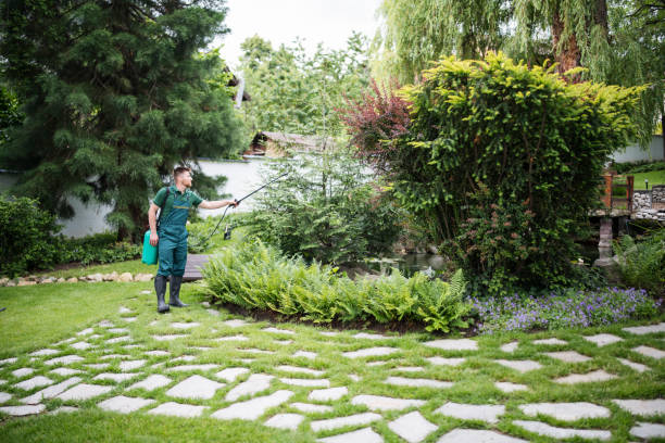 Best Pest Control Near Me  in Lake Zurich, IL