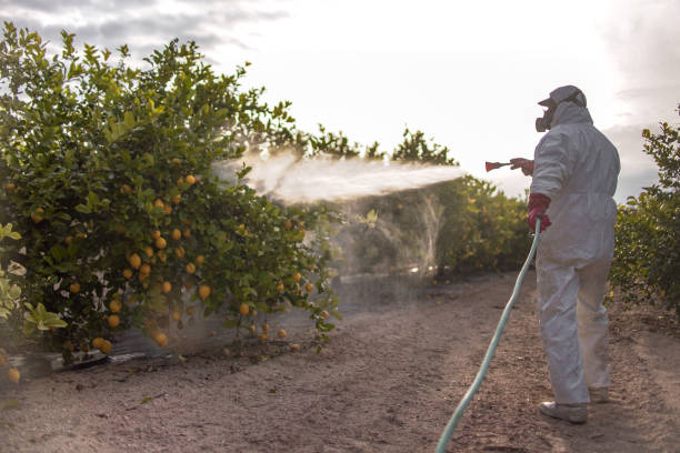 Best Best Pest Control Companies  in Lake Zurich, IL