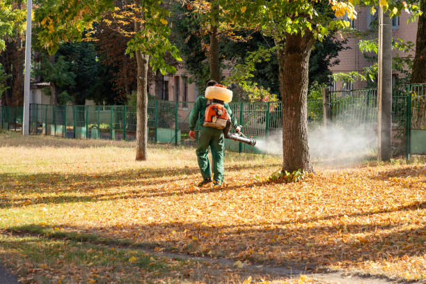 Best Pest Inspection Near Me  in Lake Zurich, IL