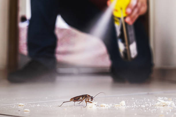 Best Commercial Pest Control Services  in Lake Zurich, IL