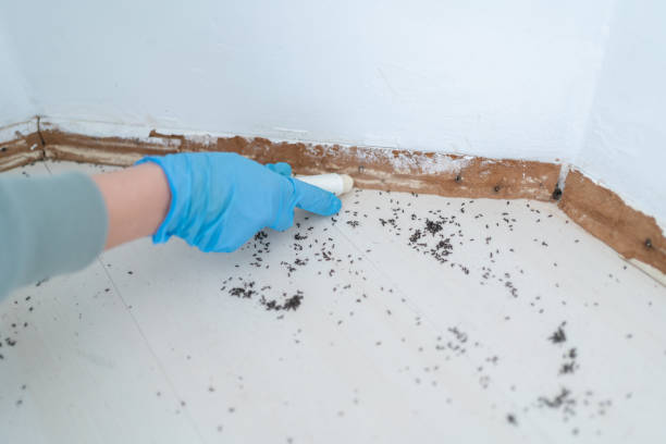 Best Pest Removal Services  in Lake Zurich, IL