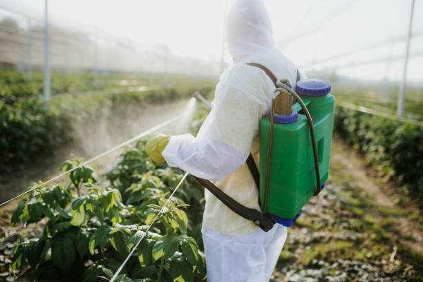 Best Local Pest Control Services  in Lake Zurich, IL